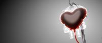 plastic heart-shaped bag filled with blood